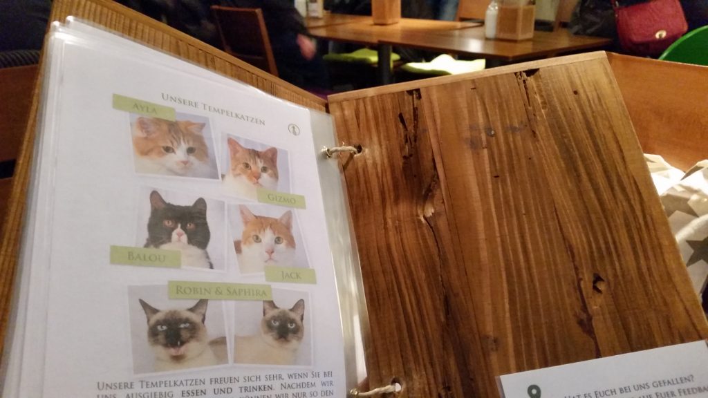 Auf der letzten Seite der Speisekarte werden die sechs Katzen vorgestellt