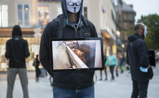 Cube of Truth-München-Tierrechte-Activist for the victims