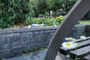 Plastikflasche liegt draußen auf einer Mauer, nicht im Mülleimer