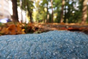 Plastikmüll am Wegesrand im Herbstlaub