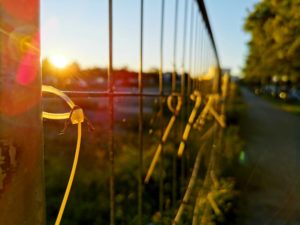 Plastik hängt am Zaun, im Hintergrund der Sonnenuntergang