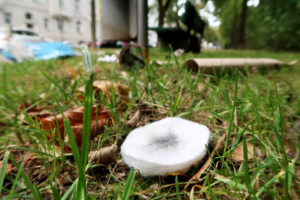 ein benutztes Wattepad liegt im Gras