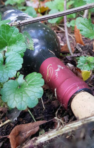 Flasche Wein liegt auf dem Boden im Gebüsch