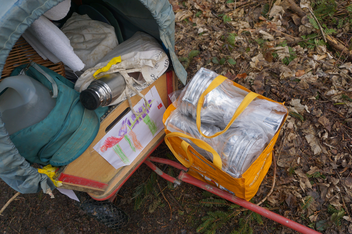 Bollerwagen_Waldkindergarten_Aubinger_Lohe_eV_Foto_Claudia_Evers