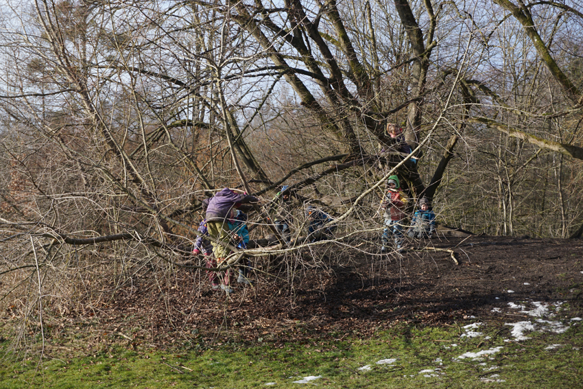 Spielende_Waldkinder_Waldkindergarten_Aubinger_Lohe_eV_Foto_Claudia_Evers