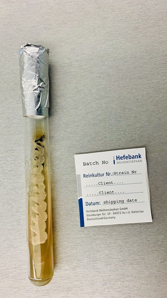 Hefestamm aus der Hefebank Weihenstephan