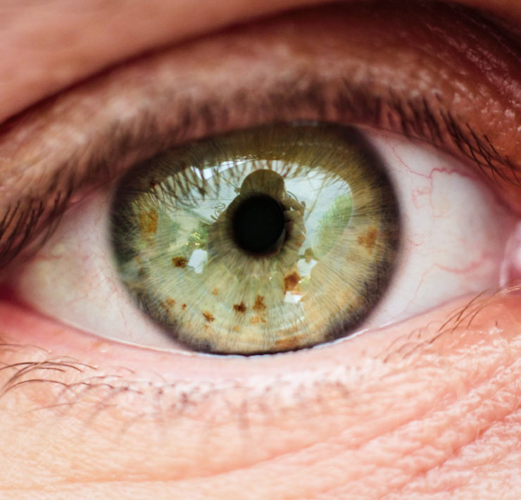 Nahaufnahme eines Auges und Augenlids. In der grünen Iris spiegelt sich der Fotograf und die Szenerie. Die Iris ist von kleinen braunen Punkten gespickt. Foto: Jonas Kessel