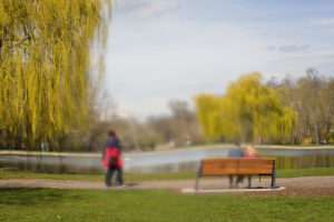 Blick auf einen Park mit Teich und Wasserfontäne. Im Vordergrund sitzt ein junges Pärchen auf einer Parkbank. Von links läuft ein älteres Pärchen durch das Bild. In Vorder- und Hintergrund sind Weidenbäume zu sehen. Der Himmel ist bewölkt, aber die Sonne scheint. Das zentrale Gesichtsfeld ist verschwommen und verzerrt, aber erkennbar. Foto: Jonas Kessel