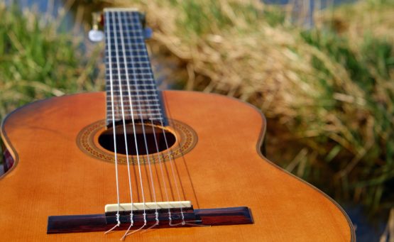 akustische Gitarre aus hellem Holz liegt im Gras