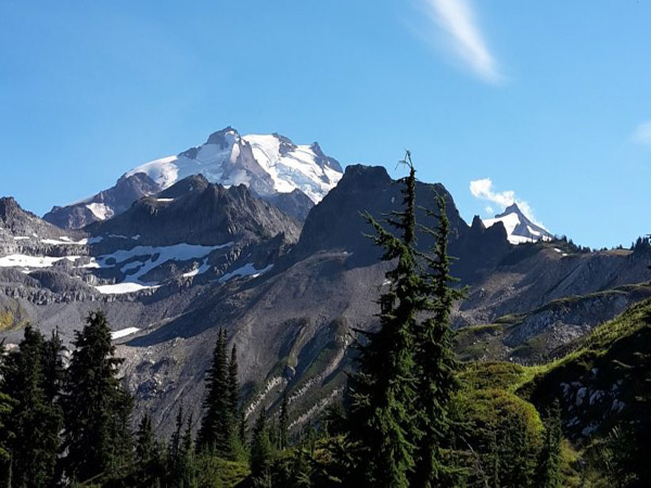 Beschneiter Vulkan in den Northern Cascades in Washington ragt hinter Nadelbäumen in den blauen Himmel