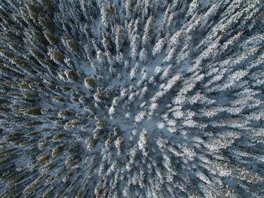 Blick von oben auf den schneebedeckten Wald der Tundra