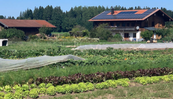 Gemüsegarten Waakirchen Haus und Felder