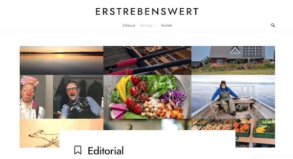 Screenshot Magazin Erstrebenswert